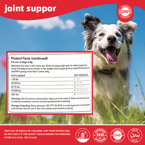 Perna Mussels, Golosinas Masticables para Perros con Soporte Articular, Sabor a Carne <span class=keywords><strong>de</strong></span> Res y Mejillón <span class=keywords><strong>de</strong></span> Labio Verde, Forma <span class=keywords><strong>de</strong></span> Hueso, 60 Unidades, Venta al Por Mayor, OEM - Product Image 3