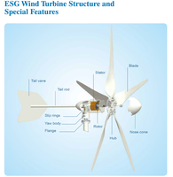 Système d'énergie éolienne ESG Type de puissance 100W 200W 300W 400W 12V/24V générateur d'éolienne à Dynamo Horizontal