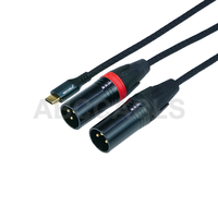 Câble audio stéréo USB C vers double XLR mâle ABCCABLS, câble Type C vers 2 XLR mâle pour téléphone, ordinateur portable, amplificateur de puissance, haut-parleur actif