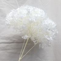 Bunga asli musim gugur dikelantang alami kualitas tinggi bunga Hortensia asli yang diawetkan Hydrangea dengan batang