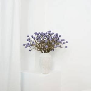 Niedriger Preis wild verwendet dekorative getrocknete Blumen Großhandel uk Mini echte winzige natürliche Knopf blume getrocknete Blumen für die Dekoration - Product Image 1