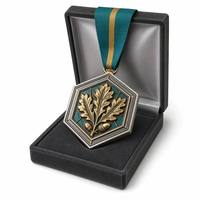 Médaille souvenir en métal haut de gamme plaquée or, avec ruban, logo personnalisé en alliage de zinc, forme 3D, design sur mesure, vente en gros.
