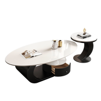 Table basse ovale en métal et pierre, style italien, luxe léger, pour salon, minimaliste, avec espace de rangement, pour petit appartement, nouveauté 2025