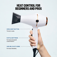 Sèche-cheveux professionnel 2200W à moteur AC, style tendance, le plus populaire, vente en gros, marque privée, avec technologie céramique pour salon et usage domestique