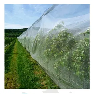 Anti-insect White Plastic Insect Covering Net For Vegetable Planting Greenhouse Agricultural Drying Anti-insect Net