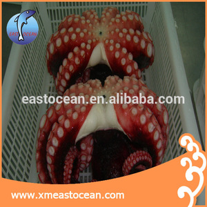 Fujian fabricación fresco <span class=keywords><strong>congelado</strong></span> calamar <span class=keywords><strong>pulpo</strong></span> - Product Image 2
