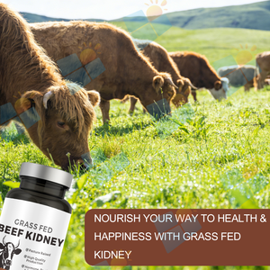 Capsule di Reni di Manzo Nutrito ad Erba, Formula Personalizzata OEM ODM, Etichetta Privata, Vendita all'Ingrosso, Integratore per il Supporto Renale e Immunitario - Product Image 4