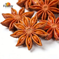 Anís Estrellado Gourmet, Selección Premium de Especias, Frasco de 110g, Ideal para Cocinas Artesanales, Talleres Culinarios, Sets de Regalo para Fiestas