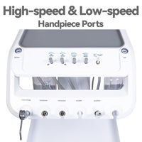 Unité dentaire vétérinaire portable multifonctionnelle avec compresseur sans huile 600W pour le nettoyage des dents des animaux sur chariot mobile