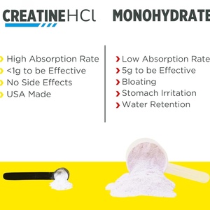 Creatina HCl Premium en Polvo con Extractos de Plantas, Apoyo Inmunológico y Salud Cardíaca para Hombres y Mujeres, Suplementos de Creatina HCl - Product Image 2