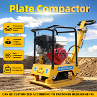 Compacteur de sol vibrant à plaque vibrante réversible, mini-compacteur à plaque