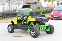 2025 Produits Chauds 300cc Utv Joyner Buggies