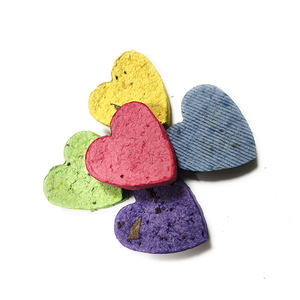 Kit di Semi di Fiori Moderni per Germinazione Personalizzata (Confezione da 5) Non-OGM, Bombe di Semi di Fiori Selvatici Annuali e Perenni Fatte a Mano - Product Image 2