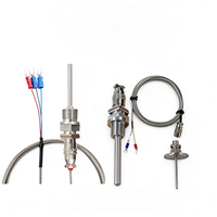 Sensor Suhu Industri PT100 PT1000 RTD Thermosensor untuk Pemantauan Proses OEM Resistor Platinum Presisi Tinggi
