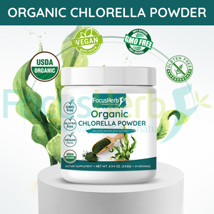 Focusherb OEM cấp thực phẩm chiết xuất thảo dược nước hòa tan Chlorella vulgaris bột bán buôn Hữu Cơ - Product Image 3