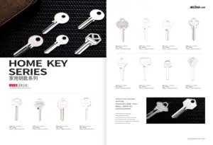 Beste Qualität Hot Sell Tür schlüssel Rohlinge Xianpai Fav-1D leere Schlüssel Hersteller