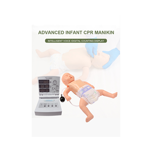 Mannequin de RCP infantile avancé CPR160 avec contrôleur électronique pour la formation aux premiers secours pédiatriques, modèle de formation pédiatrique, RCP du nourrisson - Product Image 1