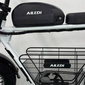 Vélo électrique AILEDI Retro Scrambler 20 pouces avec pneus larges 4.0, panier de rangement, 48V 750W 1000W, vélo électrique tout-terrain - Product Image 6