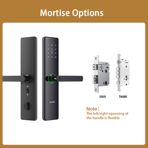 Khóa cửa thông minh kỹ thuật số hai cảm biến, căn hộ, khóa điện tử thông minh, mật khẩu, vân tay sinh trắc học, tay nắm cửa - Product Image 6