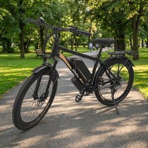 Bicicleta Eléctrica de Reparto de Largo Alcance, Plegable, con Marco de Acero de Alto Carbono, Batería de Litio, Almacén en el Extranjero, EC-27 Lo - Product Image 5