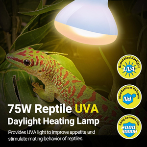 REPTI ZOO OEM 75W Lampada Riscaldante per Rettili 2 Pezzi Giorno & Notte Combo Pack Lampada a Infrarossi e Lampada Riscaldante UVA a Luce Diurna - Product Image 3