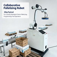 Brazo Robótico Colaborativo con Certificación CE, Operación Estable, Robot de Paletización para Apilado de Cajas de Productos de Uso Diario