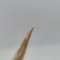 Vente chaude pas de pointe petit rouleau plume Extensions de cheveux Kuan plume pointe utilisation invisible cheveux humains avec des styles de vague et de boucle