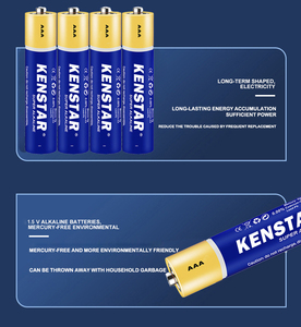 1.5V Alkaline pin AAA AM4 LR03 Alkaline pin khô di động pin - Product Image 5