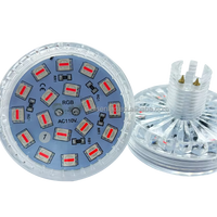 Lumière à cabochon programmable automatique RGB 24 LED AC110v/220v, 60 mm, points lumineux pour manèges de parc d'attractions, grande roue