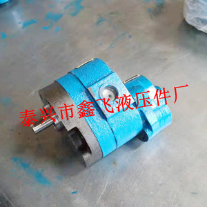 Pompe hydraulique à double engrenage basse pression CB-B16/6 B20/6 B25/6 10 4, usine de machines-outils de Shanghai, pompe pour machine à rectifier - Product Image 1
