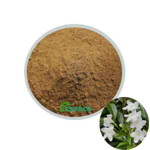 Natuurlijk plantenextract Tabernaemontana Divaricata extractpoeder 4:1 10:1 - Product Image 1