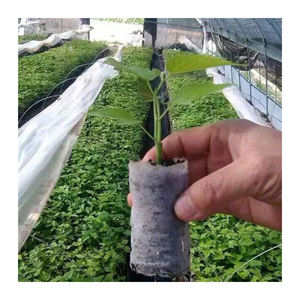 Protection du tissu polypropylène Plante verte Agriculture Couverture en tissu non tissé non tissé - Product Image 1