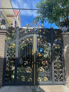 Puerta de Hierro de Alta Calidad con Asistencia Técnica en Línea y Diseño Francés, Puerta de Hierro Forjado - Product Image 3