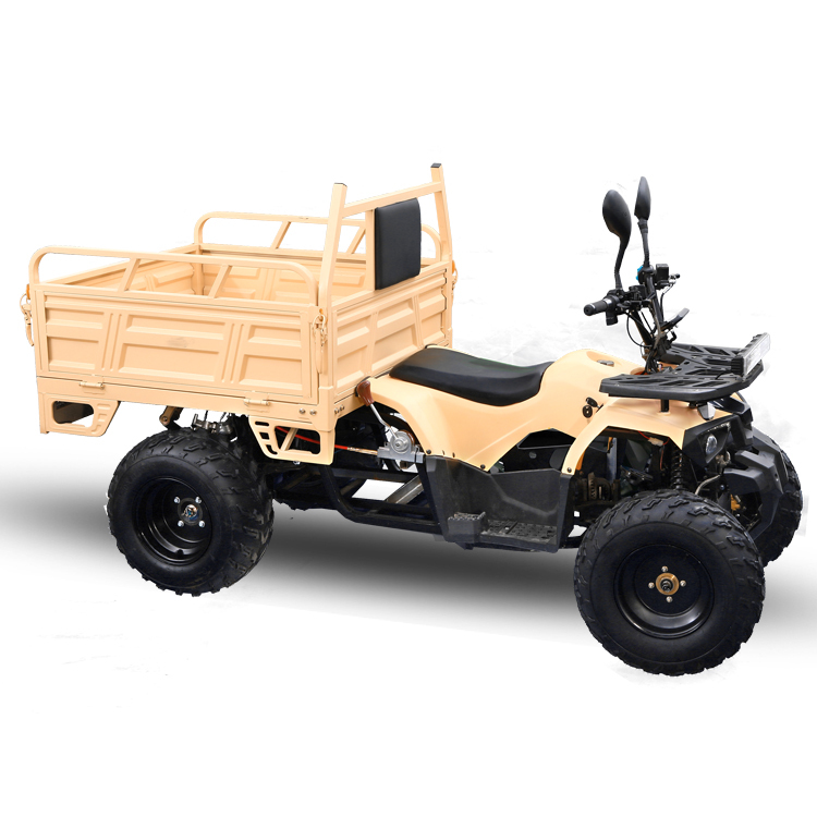 Высокое качество, конкурентоспособная цена, Quad Electric Atvs Bike для взрослых