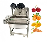 Industriële voedselverpakkingszak-dehydrator, koudeluchtdroger met sterke ventilator, fruit- en groentedroger met koude wind na het reinigen