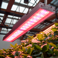 Lampe de culture LED TOP GROW 1000 watts à spectre complet, dimmable, pour serre, 4*6 pieds