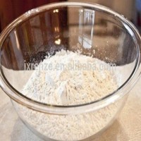 Bubuk Pengental Xanthan Gum Kualitas Premium Grade Makanan 25kg Laris Manis