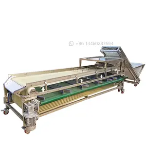 Stainless Steel Fruit Size Blueberry Fruit Plum Cherry Sorter Machine Dates Cherry Tomato Grading Machine