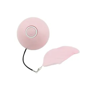 LED Flash Interactive Cat Ball Cat Feather Toys Cat Chaser Toy Ball Laser Pointer USB