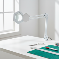 Lampe Loupe Électrique LED Moderne Simple avec Bras Articulé Flexible, Lampe de Table en Aluminium USB à 3 Couleurs pour Salles de Lecture