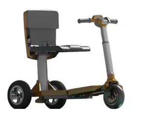 Mô Hình Mới Nhất Bị Vô Hiệu Hóa Thế Giới Cao Cấp 3 Bánh Xe Điện Mobility Scooter Nhà Sản Xuất Cho Người Lớn