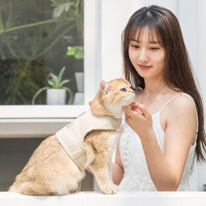 Correa de poliéster ecológica para perros de razas pequeñas de cuatro estaciones, Estilo Chaleco, arné<span class=keywords><strong>s</strong></span> antiruptura para mascotas, cierre de botón, malla transpirable - Product Image 3