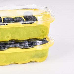 Bán Buôn Dùng Một Lần Nhựa Thực Phẩm Cấp Pet 250G Có Thể Tái Chế Trái Cây Tươi Blueberry <span class=keywords><strong>Raspberry</strong></span> Bao Bì Hộp - Product Image 4