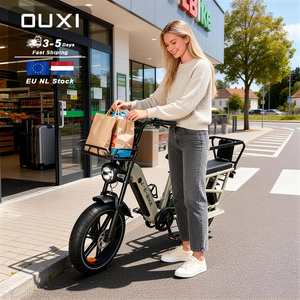<span class=keywords><strong>Vélo</strong></span> électrique <span class=keywords><strong>cargo</strong></span> OUXI Q10, style rétro, stock UE/US, avec éclairage intégré moderne et pneus réfléchissants haute visibilité - Product Image 1
