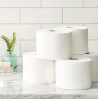 Papel Higiénico Biodegradable y Soluble, Papel Higiénico Virgen Reciclado, Rollo de Papel Higiénico de 500 Hojas, de Doble Capa, Seguro y de Rápida Disolución