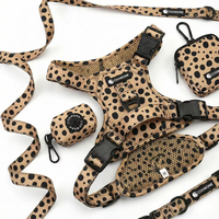 Ensemble de harnais et de laisse pour chien en néoprène de luxe personnalisé à motif léopard, sans traction, réglable, rembourré, harnais d'entraînement pour animaux de compagnie pour chiens