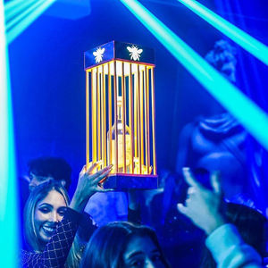 Richshining – bouteille Led en forme de Cage avec Logo personnalisé multicolore, affichage de Cage à Champagne, présentateur de bouteille en acrylique en métal VIP - Product Image 3
