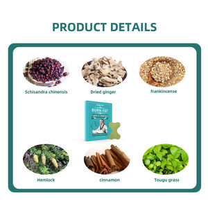 טיפול רפואי ציוד זרעה זרעה עבור ירידה במשקל מטרה ירידה במשקל תרופות צמחי מרפא זרעה - Product Image 4