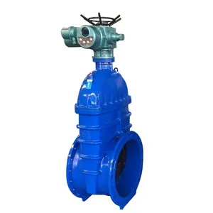 Electric Slide Actuated Resilient Seated Stem Wedge Gate Valve