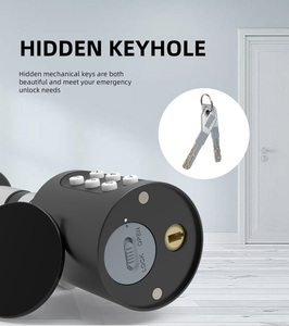 <strong>Small</strong> size Keyless <strong>Door</strong> <strong>Lock</strong> Electronic Cylinder <strong>lock</strong> RFID card Password Dry Battery Euro smart cylinder <strong>lock</strong> - Product Image 3